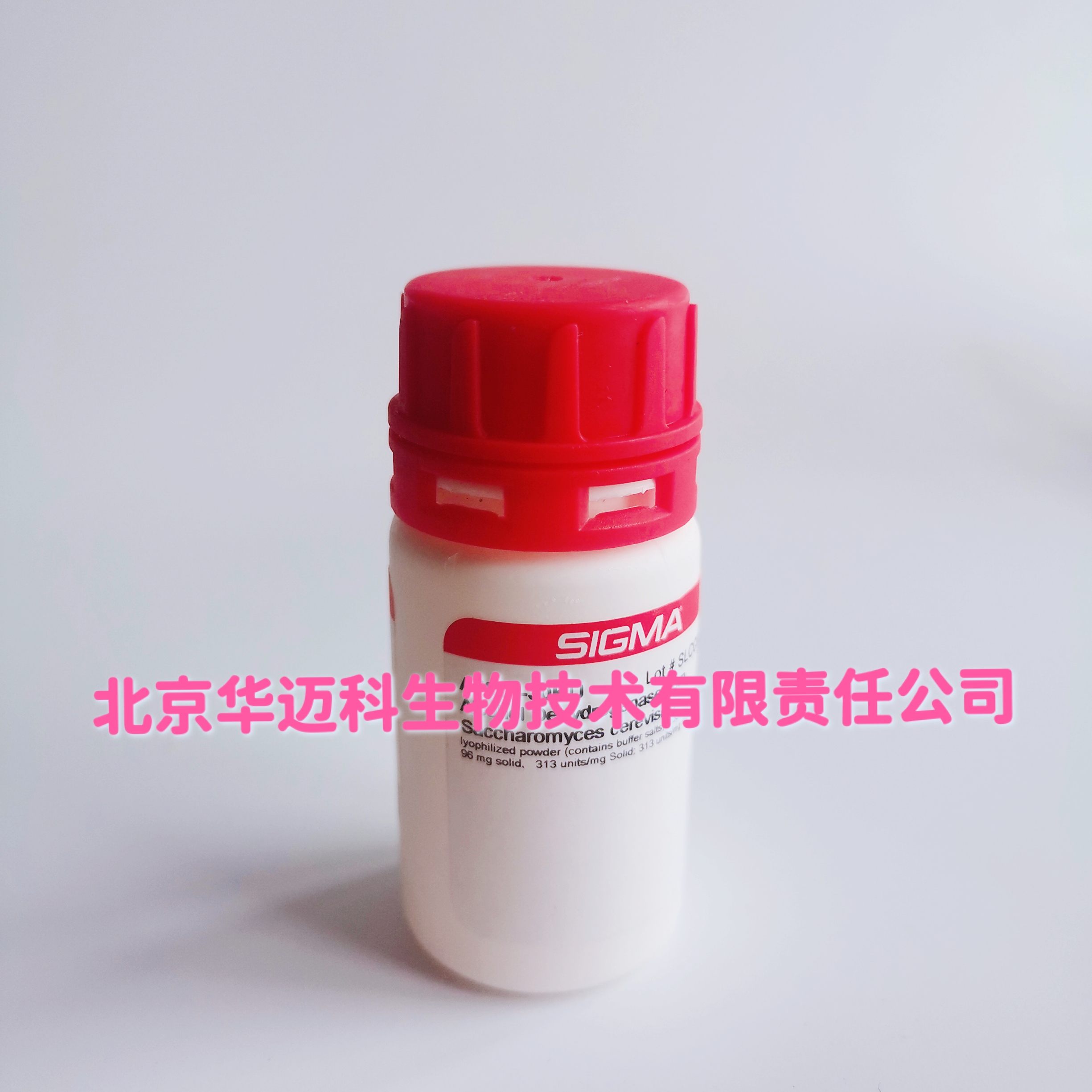 蛋白酶K