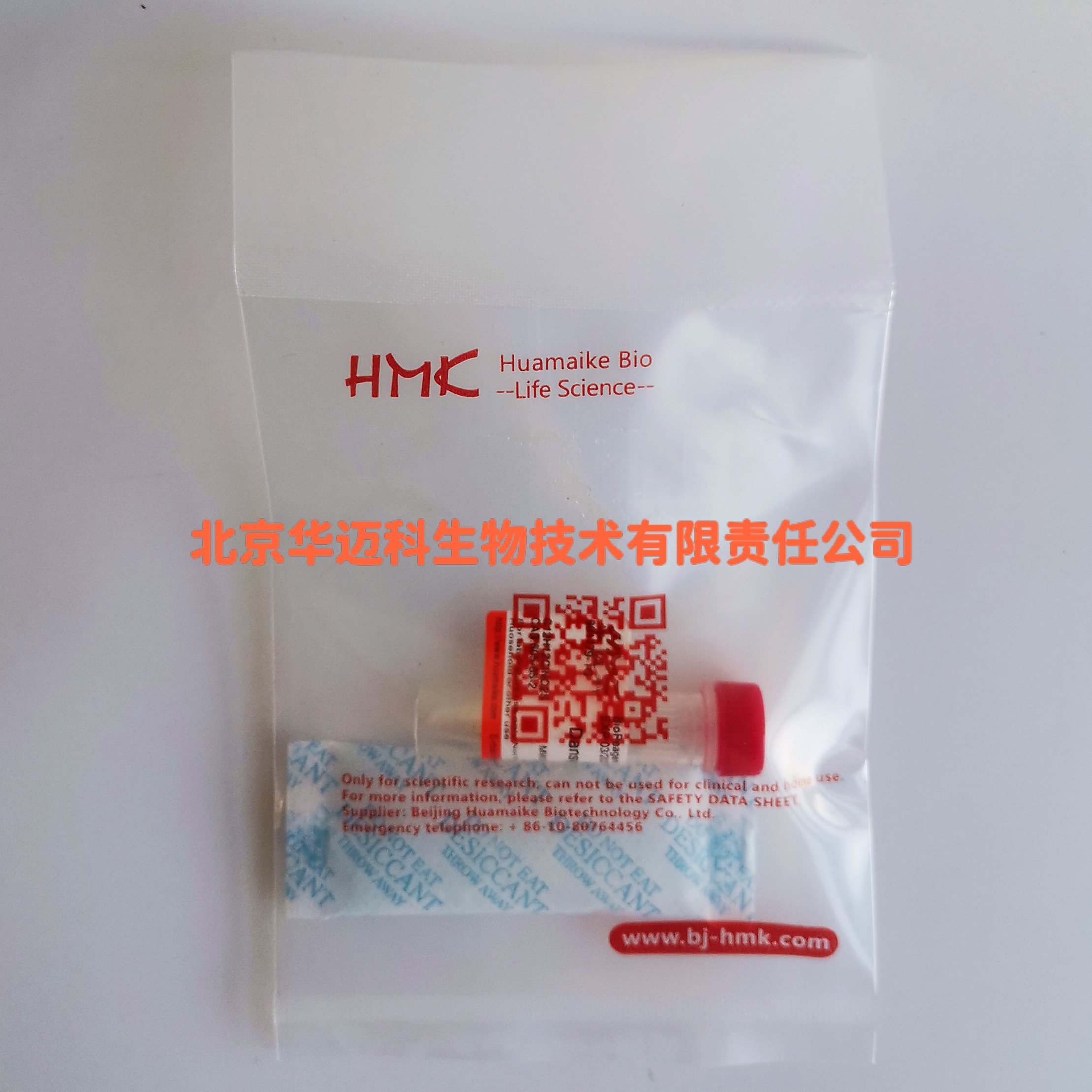 肌动蛋白(兔)