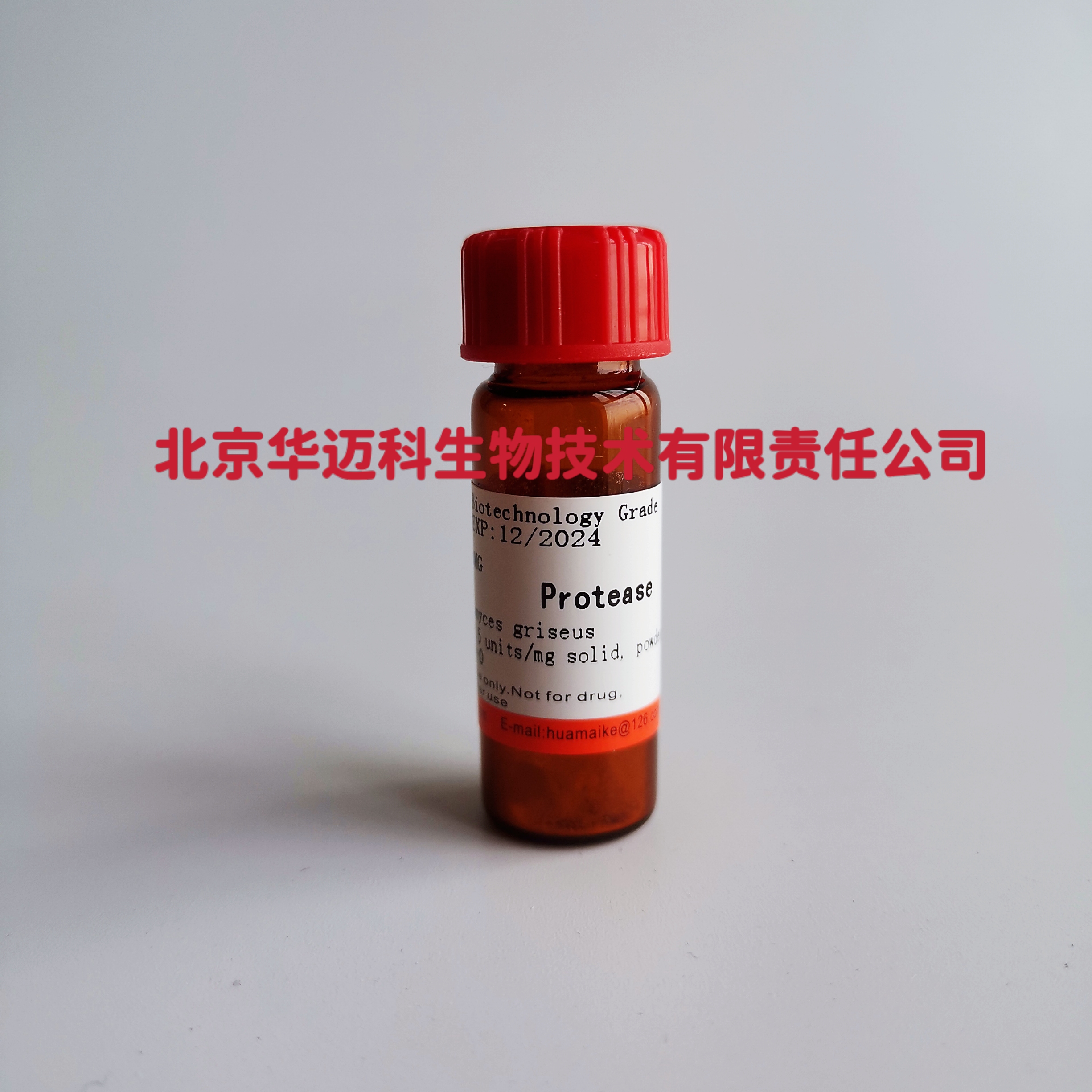 蛋白酶E