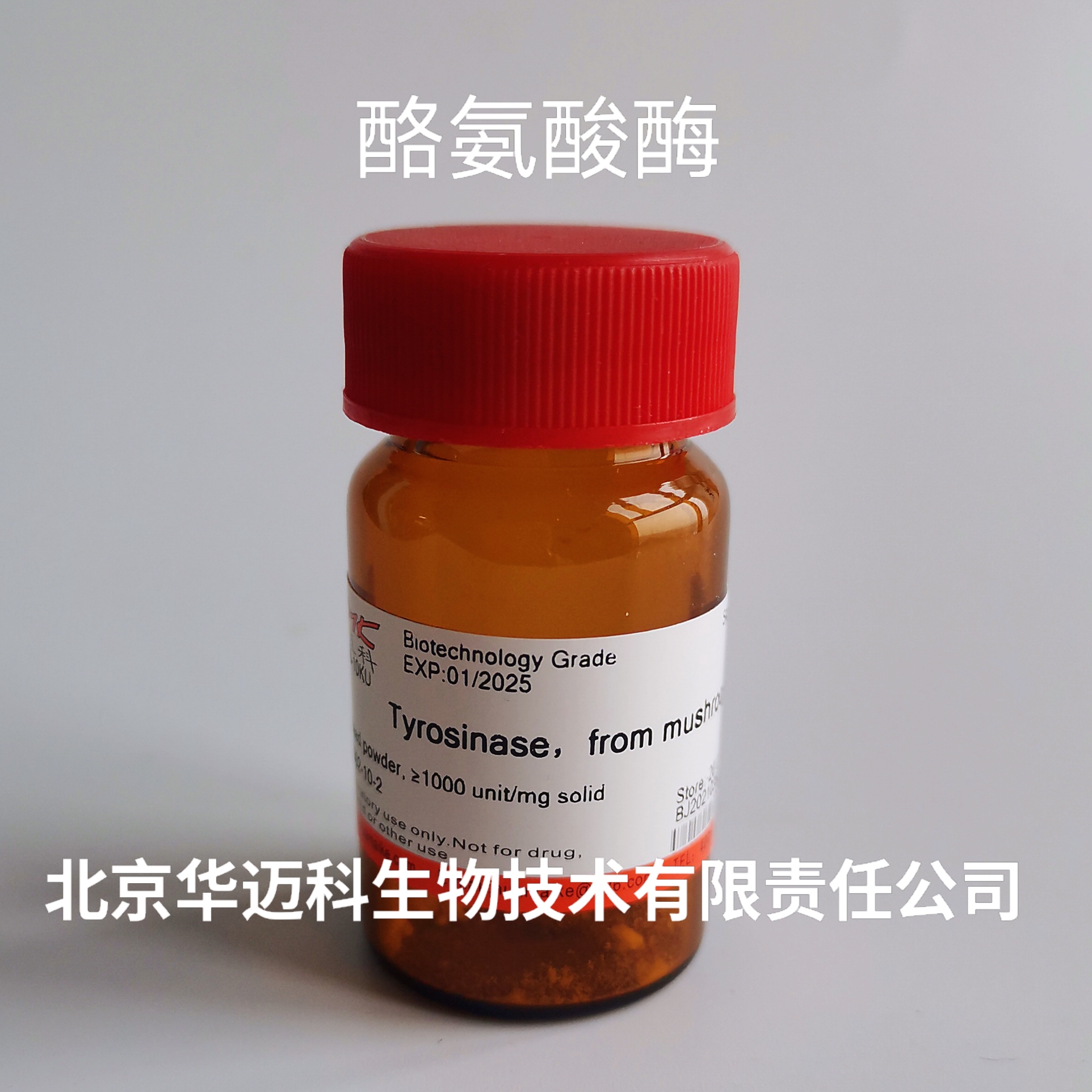 酪氨酸酶