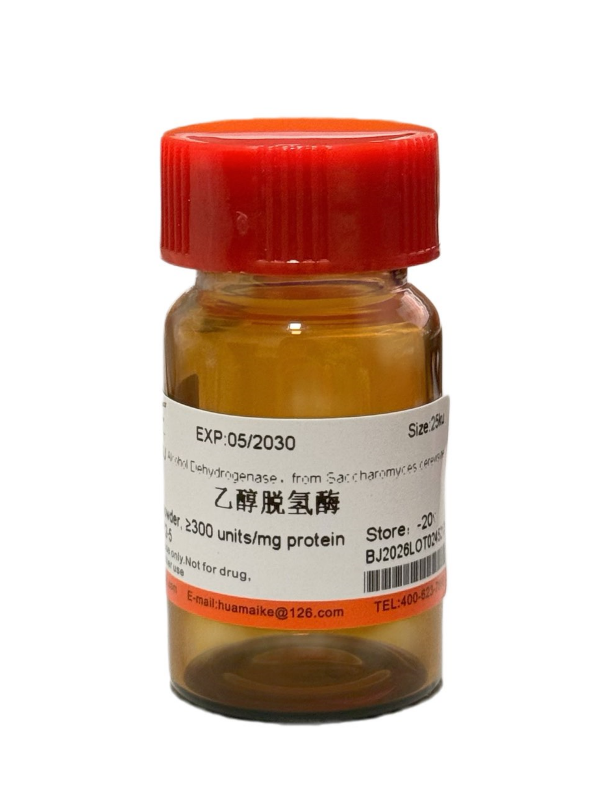 乙醇脱氢酶（≥300 units/mg）