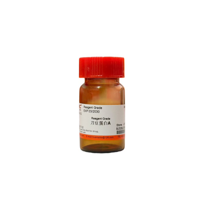 刀豆蛋白A