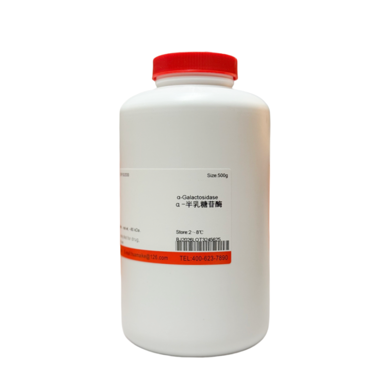 α-半乳糖苷酶（酶活≥500 u/g）