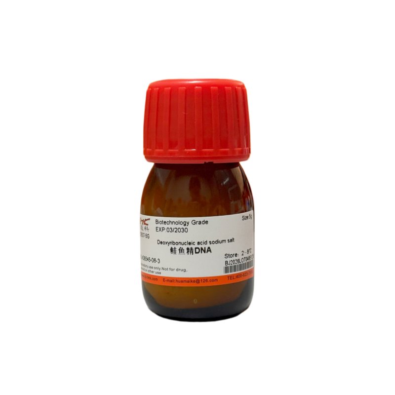 鲑鱼精DNA