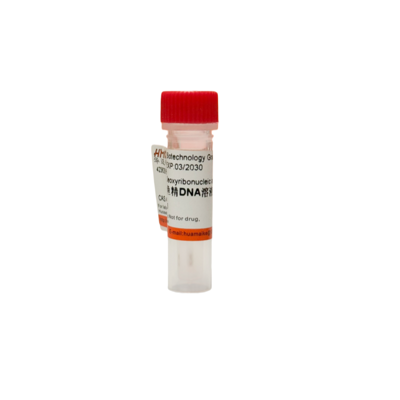 鲑鱼精DNA溶液（10mg/ml）