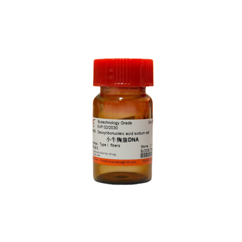 小牛胸腺DNA