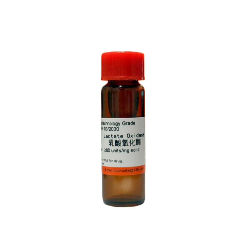 乳酸氧化酶（生物技术级，≥80u/mg）