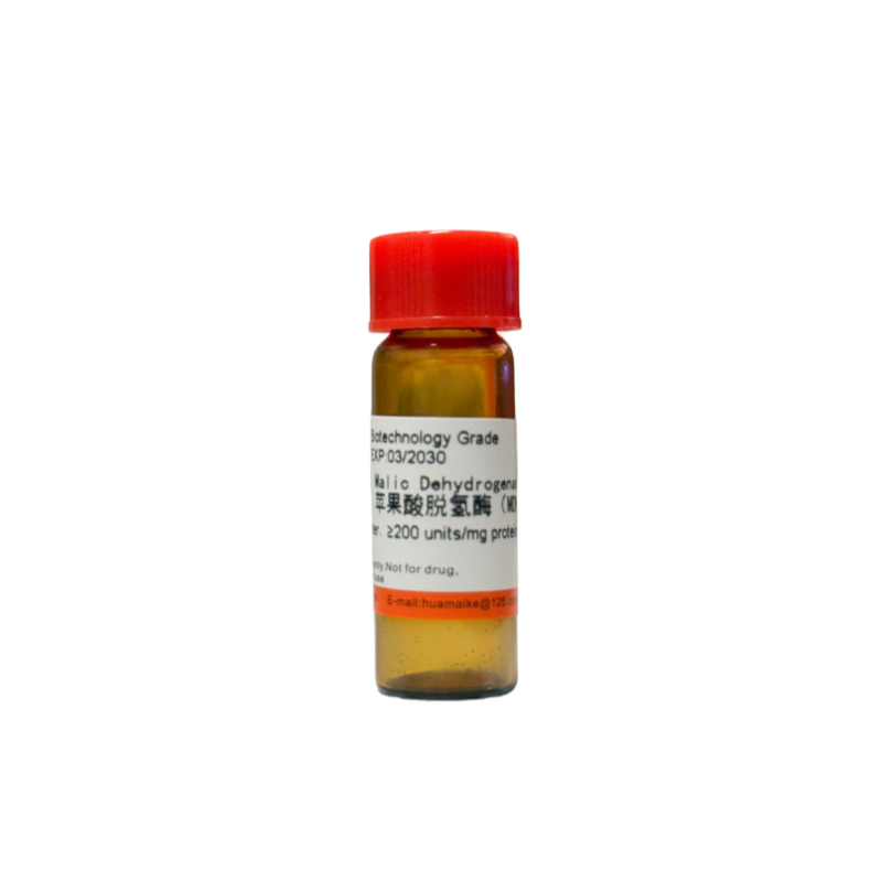 苹果酸脱氢酶（MDH）生物技术级，≥200u/mg
